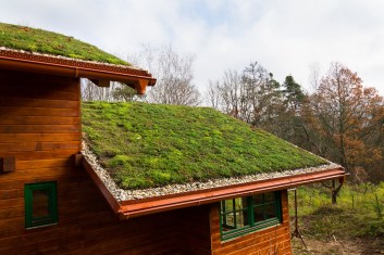 Understanding the Environmental Benefits of Green Roofs: A Comprehensive Guide