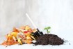 From Trash to Treasure: How Composting Organic Waste Benefits the Environment